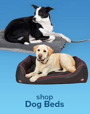 Shop Dog Beds